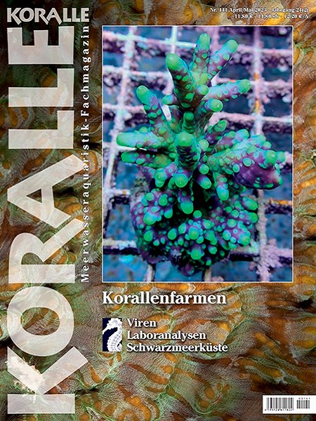 Koralle Magazin 141
