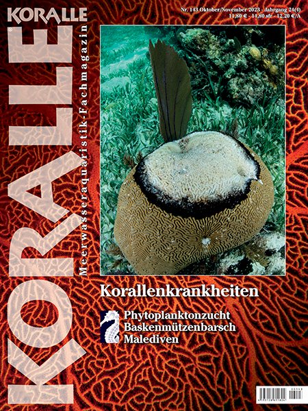Koralle Magazin 143