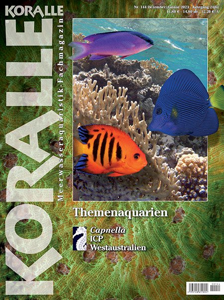 Koralle Magazin 144